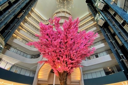 Dream Water World - 117