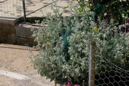 Apartmány 3298-47 - 39