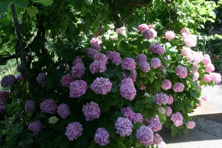 Apartmány 3298-1476 - 26