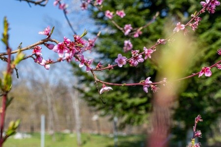 Apartmány 3298-4505 - 29