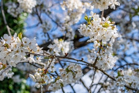 Apartmány 3298-4505 - 30