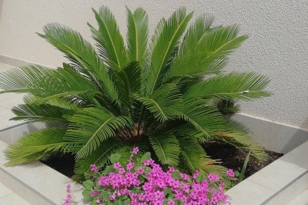 Apartmány 3298-4218 - 15