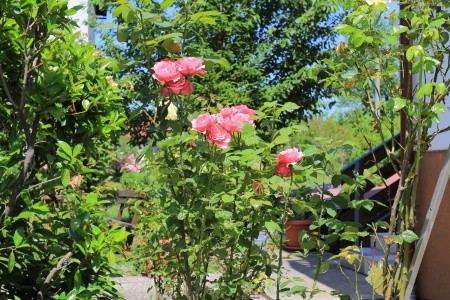 Pokoje 3298-7137 - 26