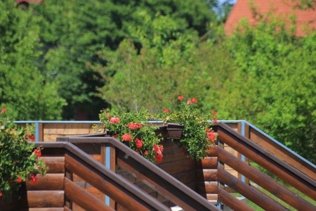 Pokoje 3298-7137 - 24