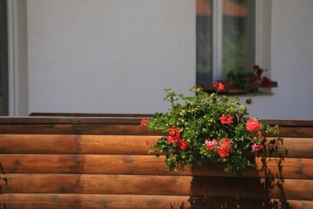 Pokoje 3298-7137 - 23