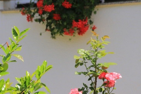 Pokoje 3298-7137 - 21