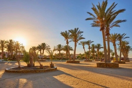 Protels Crystal Beach Resort (Ex. Abo Nawas) - 22