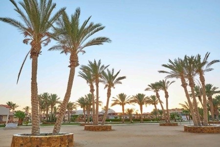 Protels Crystal Beach Resort (Ex. Abo Nawas) - 31