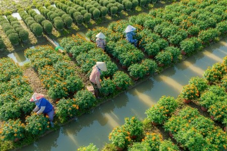 Advent ve Vietnamu: Od Dračí zátoky k plážím Phan Thiet - 2