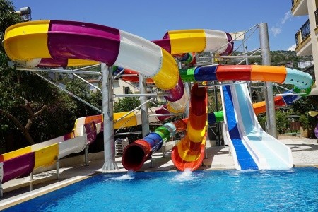 Kleopatra Royal Palm - 5