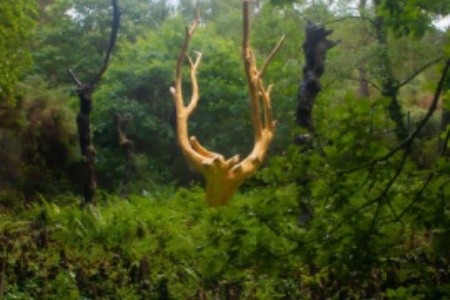 Tajemná Bretaň: keltské legendy, Merlinův les, druidové a magická místa Francie