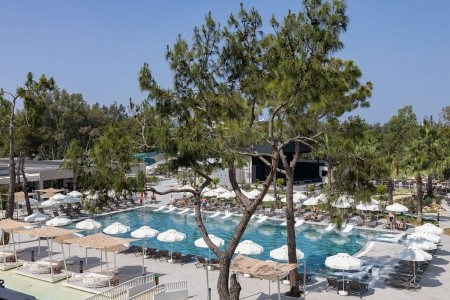 Berry Blue (Ex. Maya World Side) - 62