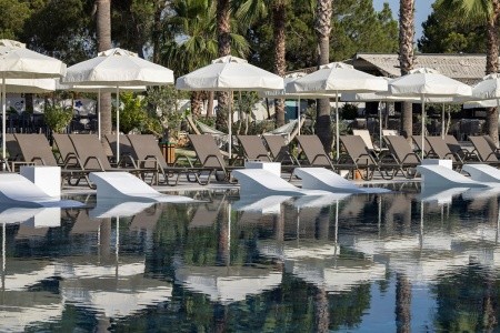 Berry Blue (Ex. Maya World Side) - 64