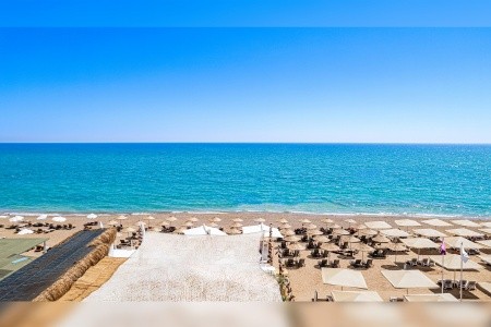 Berry Blue (Ex. Maya World Side) - 71