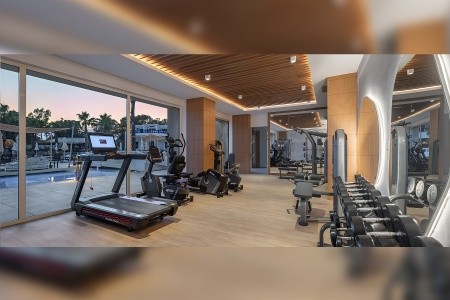 Berry Blue (Ex. Maya World Side) - 80