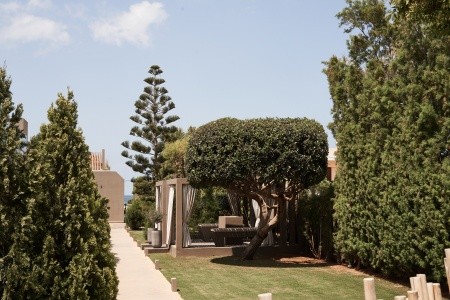 Nema Design & Spa (Ex. Elysium Boutique) - 19