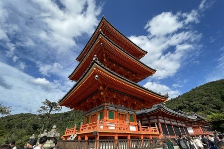 TO NEJLEPŠÍ Z HONŠÚ - 19