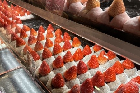 TO NEJLEPŠÍ Z HONŠÚ - 20