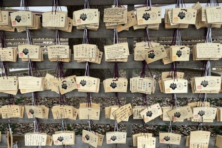 TO NEJLEPŠÍ Z HONŠÚ - 21