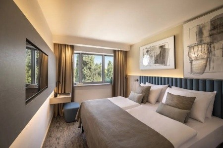 Aminess Maestral - 12