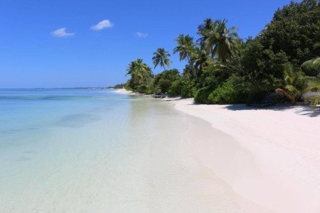 Maldivy  Canareef Resort Maldives (Herathera) 10 dňový pobyt Raňajky Letecky Letisko: Praha May 2026 (24/05/26- 2/06/26)