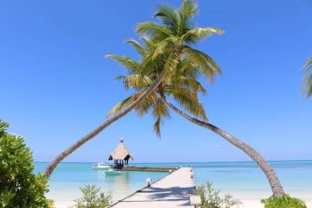 Maldivy  Canareef Resort Maldives (Herathera) 10 dňový pobyt Raňajky Letecky Letisko: Praha May 2026 (24/05/26- 2/06/26)