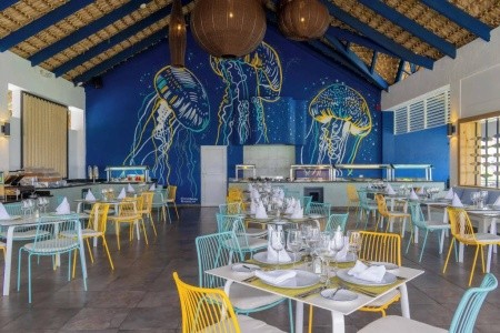 Punta Cana Princess All Suites Resort & Spa - 13