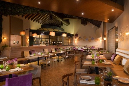 Dreams Onyx Punta Cana (Ex Now Onyx) - 3