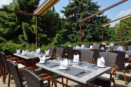 Ensana Thermal Sarvar Health (Ex. Danubius Health Spa Resort Sarvar) - 8