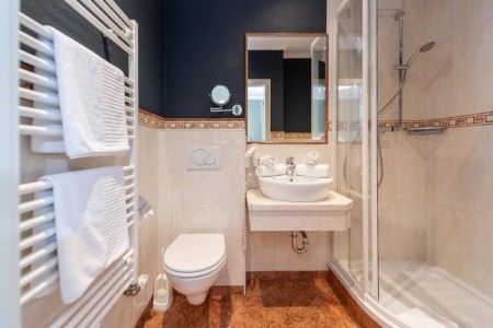 Erzherzog Johann Alpin Style (Schladming) - 16