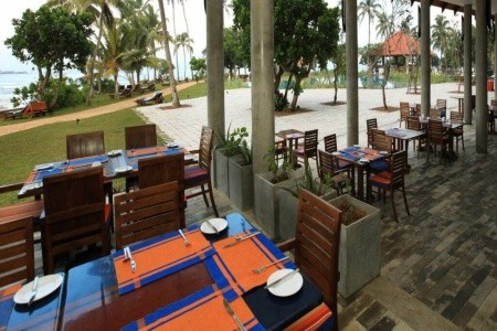 Hikka Tranz By Cinnamon (Ex. Chaaya Tranz) - 5