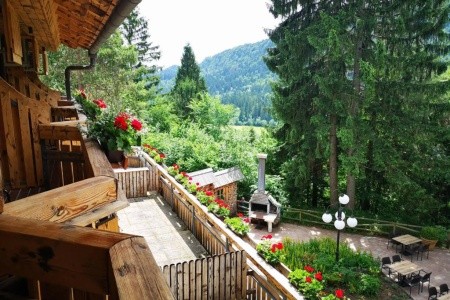 Ribno Alpine Resort - 8