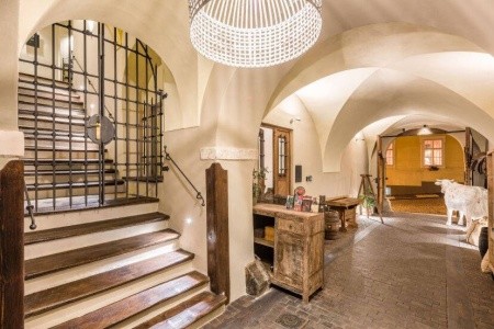 MOOo by the Castle - 2