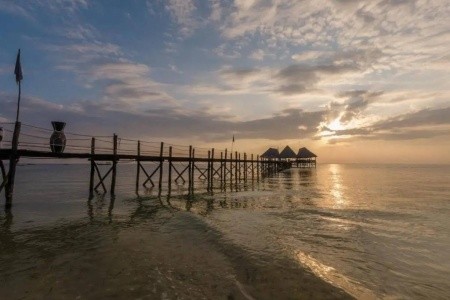 Zanzibar Uroa Paradise Beach Resort 12 dňový pobyt All Inclusive Letecky Letisko: Praha June 2026 (29/06/26-10/07/26)
