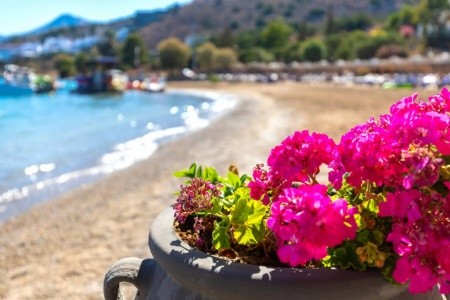 Royal Marmin Bay Boutique & Art - 17