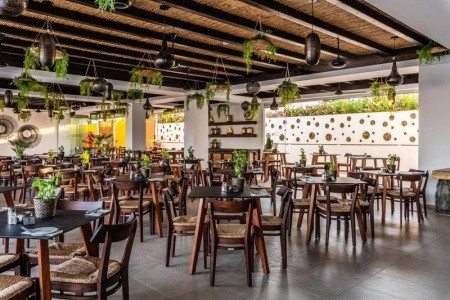 Cyprus Ayia Napa Nelia Beach 8 dňový pobyt Raňajky Letecky Letisko: Viedeň May 2026 ( 9/05/26-16/05/26)
