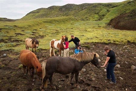 Island - mezi ledovci, sopkami a horkými prameny - 12
