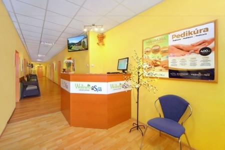 Wellness Hotel Svornost - 5