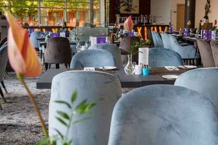 Maďarsko Balaton - južné pobrežie Azur Premium 8 dňový pobyt Raňajky Vlastná June 2026 (20/06/26-27/06/26)