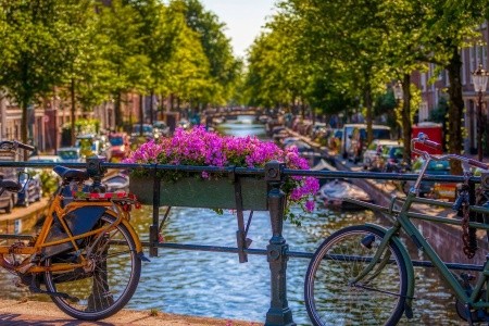 Rozkvetlé Holandsko - květinové korzo, sýry a plavba po kanálech v Amsterdamu - 2