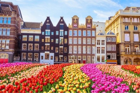 Rozkvetlé Holandsko - květinové korzo, sýry a plavba po kanálech v Amsterdamu - 11