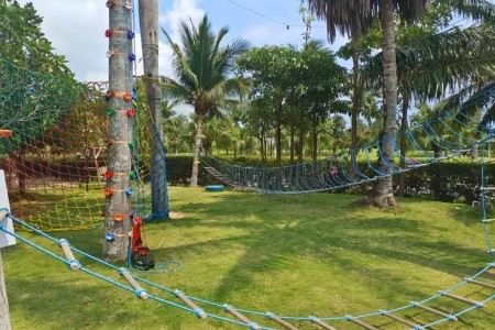 Palm Beach Resort & Spa - 39