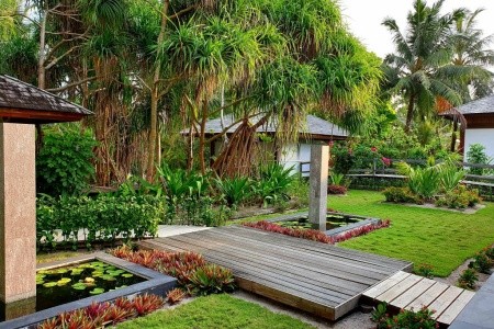 The Barefoot Eco (Haa Dhaalu Atoll) - 21