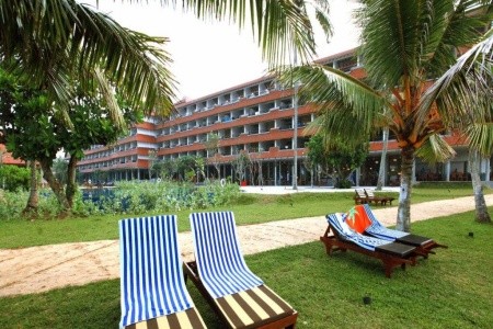 Hikka Tranz By Cinnamon (Ex. Chaaya Tranz) - 12