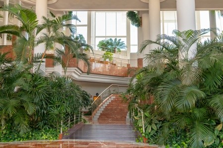 Landmar Playa La Arena - 44