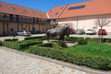 Bison Ranch (Český Rudolec)