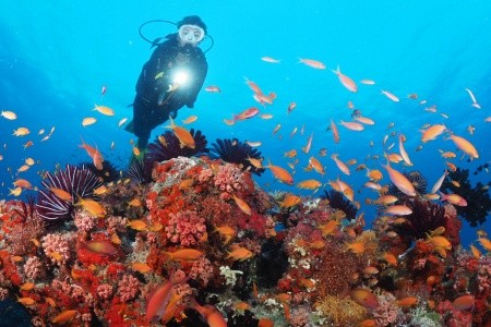 Maldivy  Adaaran Select Meedhupparu 8 dňový pobyt All Inclusive Letecky Letisko: Praha September 2026 (22/09/26-29/09/26)