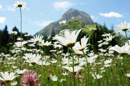 Lechtalské Alpy - ráj alpské turistiky - 13