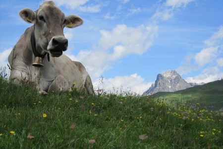 Lechtalské Alpy - ráj alpské turistiky - 15