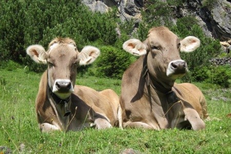 Lechtalské Alpy - ráj alpské turistiky - 26